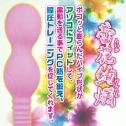 Raika Kenran (蕾花絢爛（らいかけんらん）)