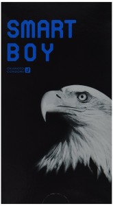 Smart Boy 2000 12pcs (スマートボーイ 2000 - 12個入)